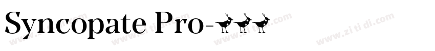 Syncopate Pro字体转换